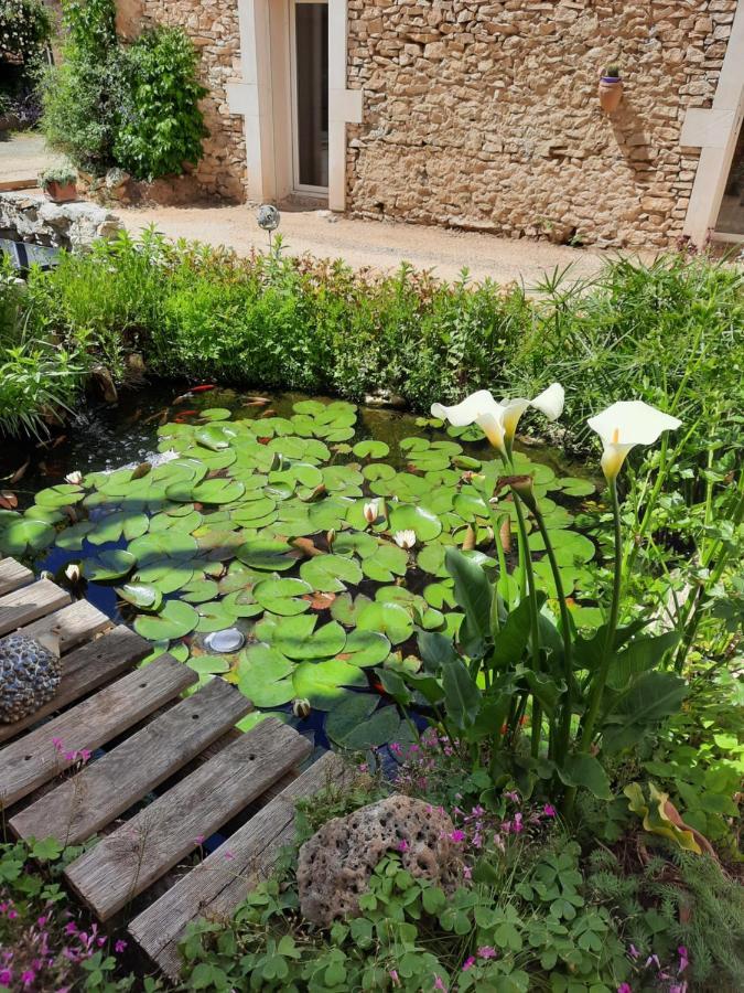 Le Cocon Bed & Breakfast Saint-Paul-les-Fonts Exterior photo